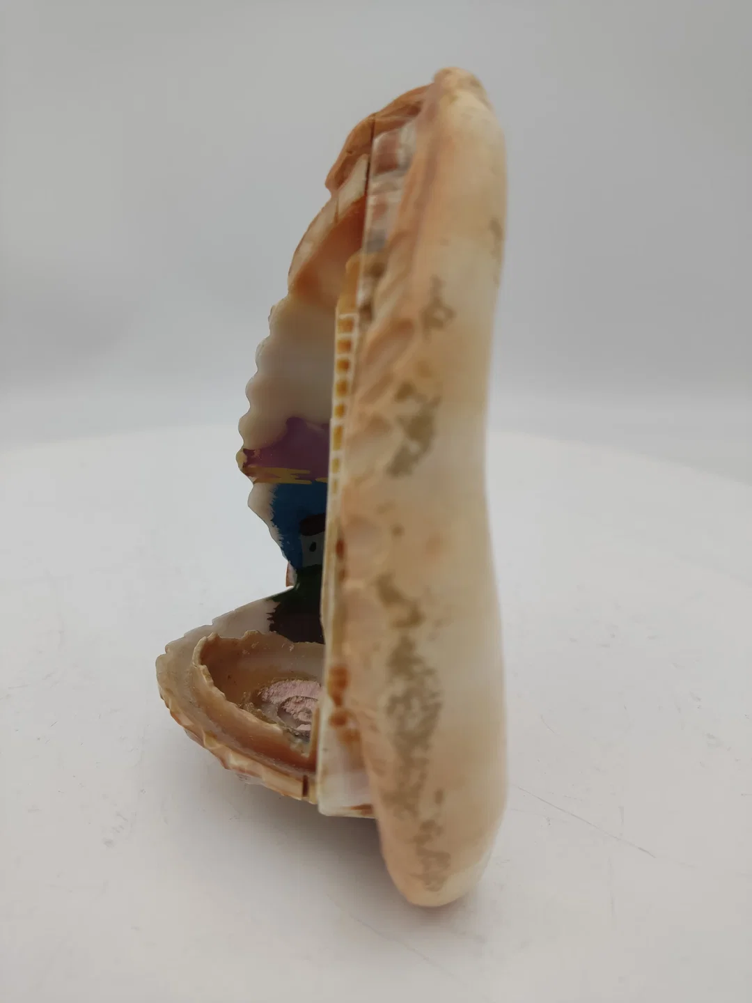 Handbemalte Muschel – Bild 2