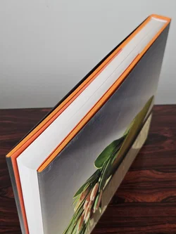 Mapplethorpe The Complete Flowers - Robert Mapplethorpe - Bild 3