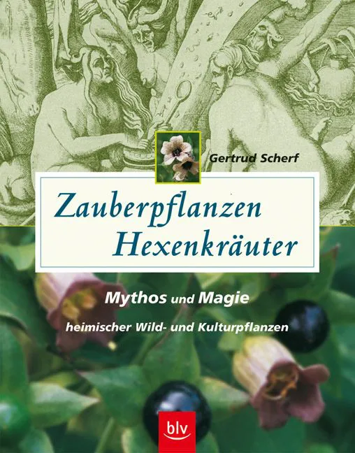 Zauberpflanzen - Hexenkräuter - Gertrud Scherf – Bild 1