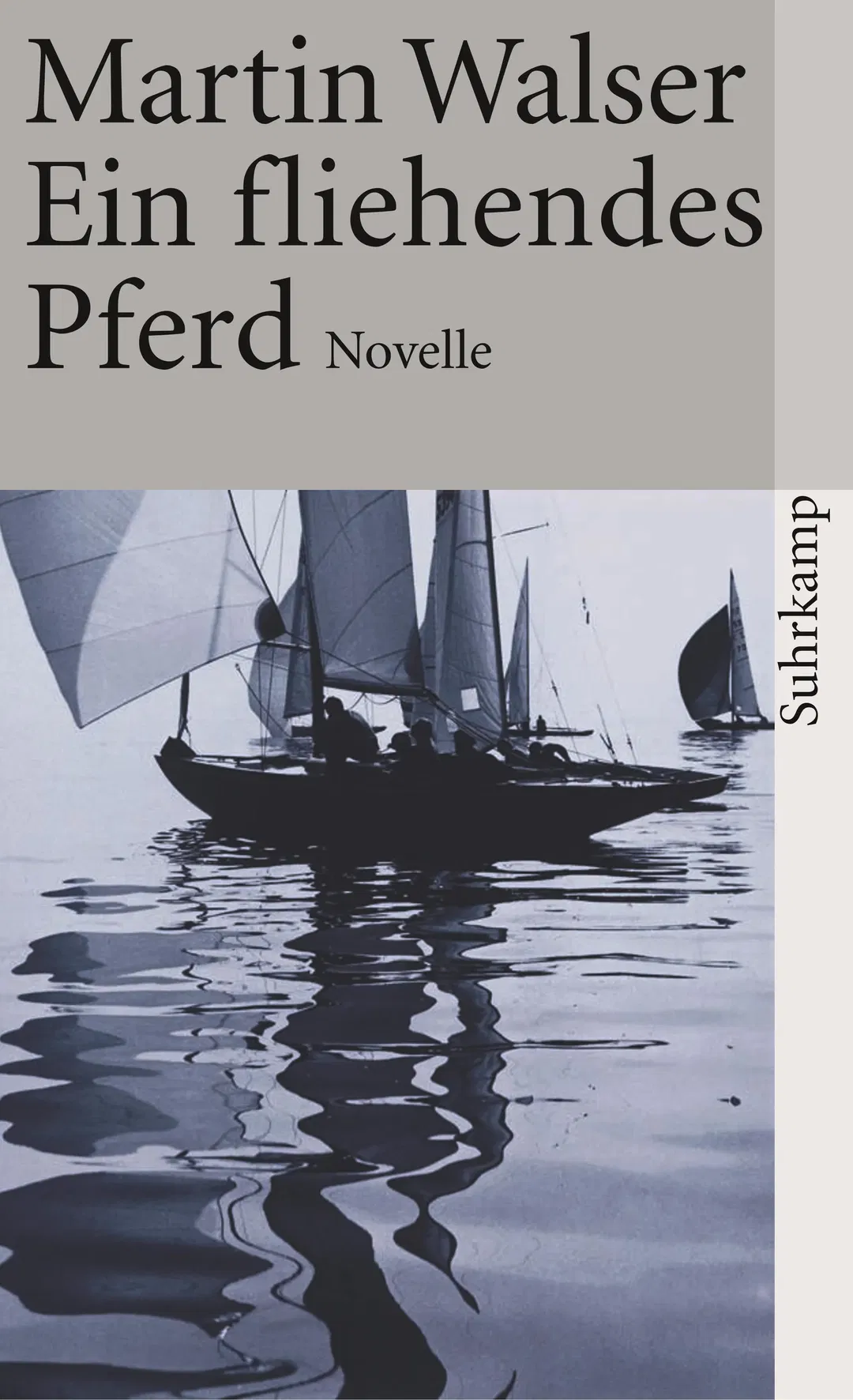 Ein fliehendes Pferd - Martin Walser - Bild 2