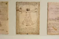 Vintage IKEA Bild mit 5 Leonardo-da-Vinci Faksimiles, 105×40 cm - Bild 4