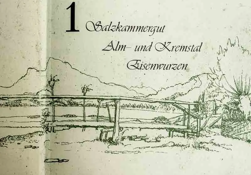 Kunst in Oberösterreich: Salzkammergut, Alm- und Kremstal, Eisenwurzen - Karl Pömer – Bild 2