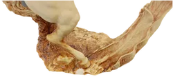 Pferde Skulptur Guss auf alt gemacht - Bild 6