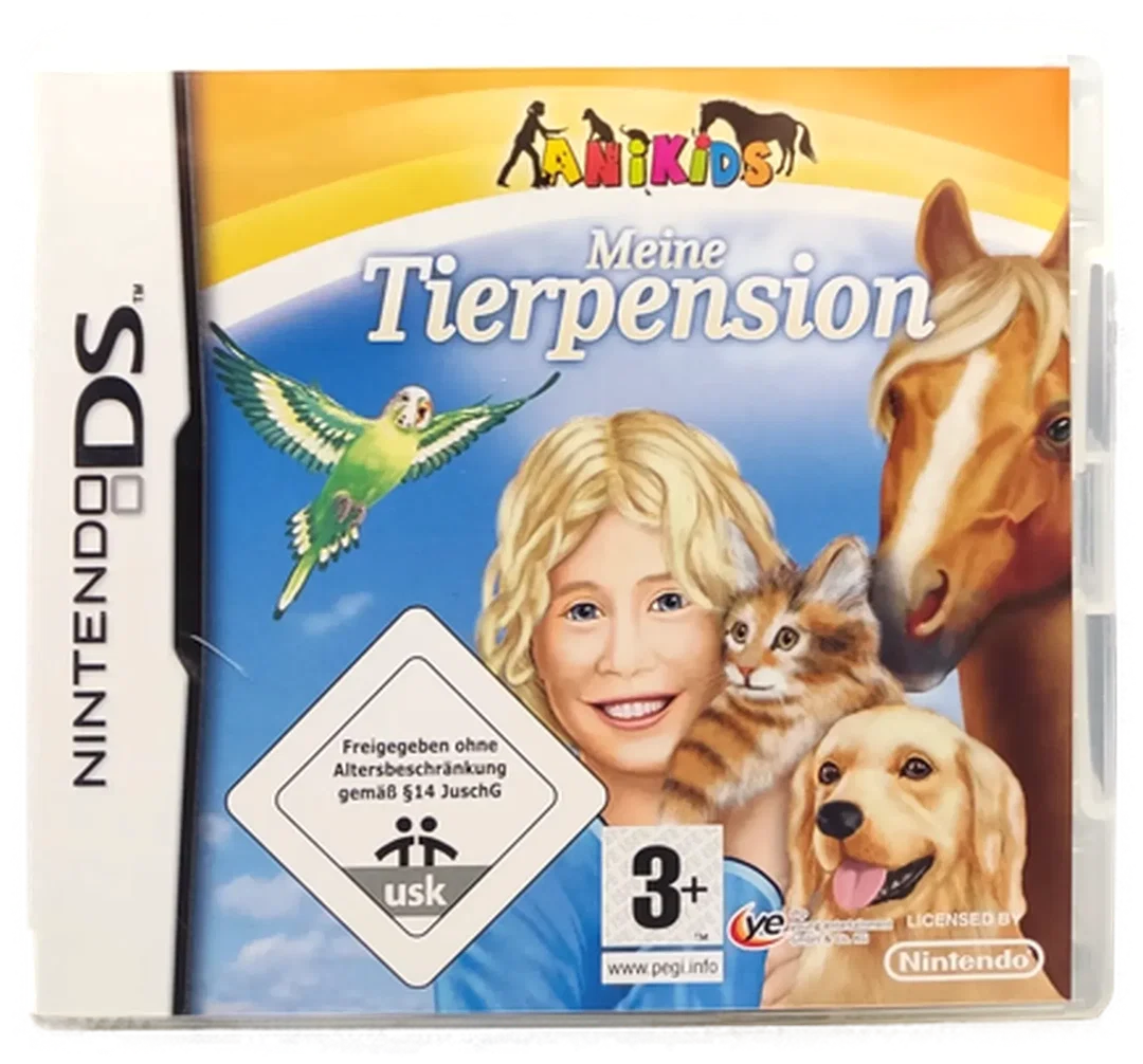 Nintendo DS 