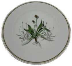 SUISSE LANGENTHAL Sammelteller Nr.2204 Weihnachten 2001 Spitzwegerich mit Zertifikat - Bild 1