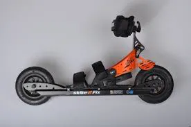 Ace International Skike CrossSkates V7 - Bild 1