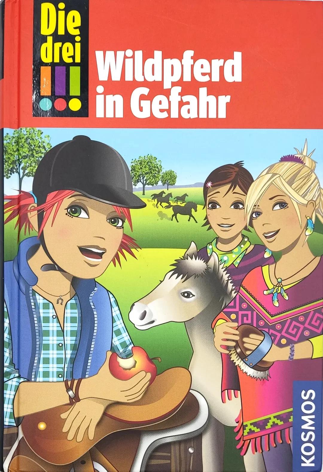 Die drei !!!, 55, Wildpferd in Gefahr - Mira Sol – Bild 1