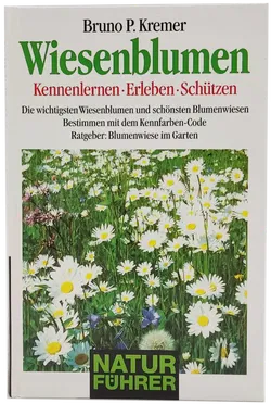 Buch 