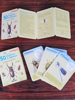 Heimische 50 Insekten & Spinnen. entdecken & bestimmen - Gesellschaftsspiele - Moses – Vorschau 5