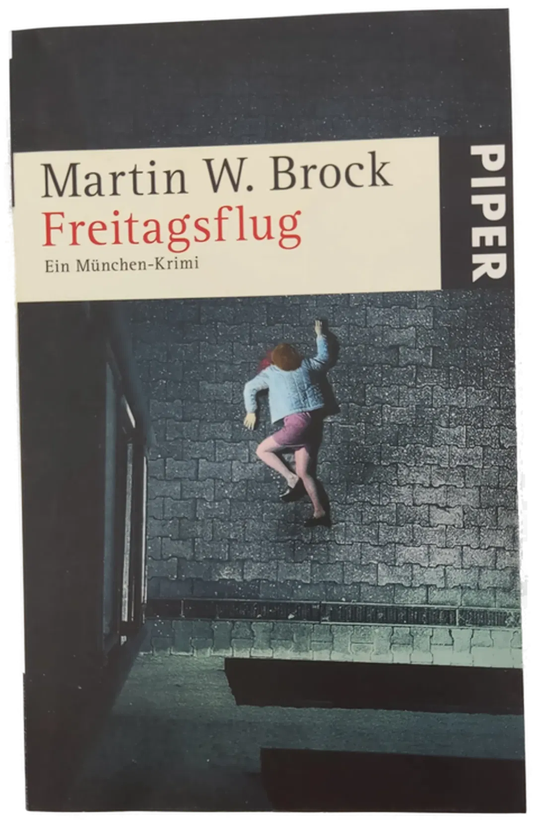 Freitagsflug - Martin W Brock - Bild 2
