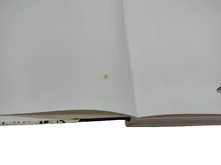 Gardi Hutter – Die Clownerin - Bild 5