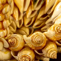 Muschelkorb Korb mit Tragegriff - Bild 4