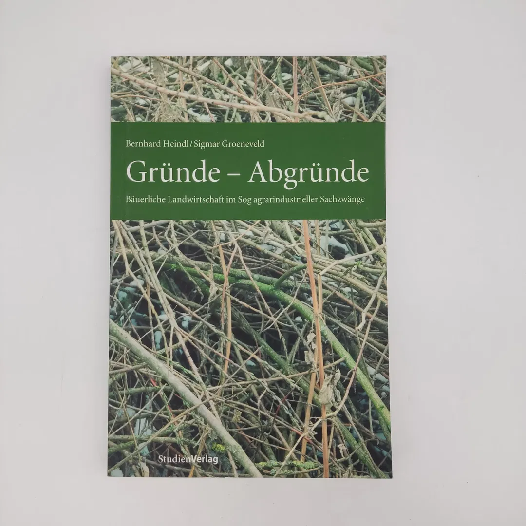 Gründe - Abgründe - Bernhard Heindl,Sigmar Groeneveld - Bild 2