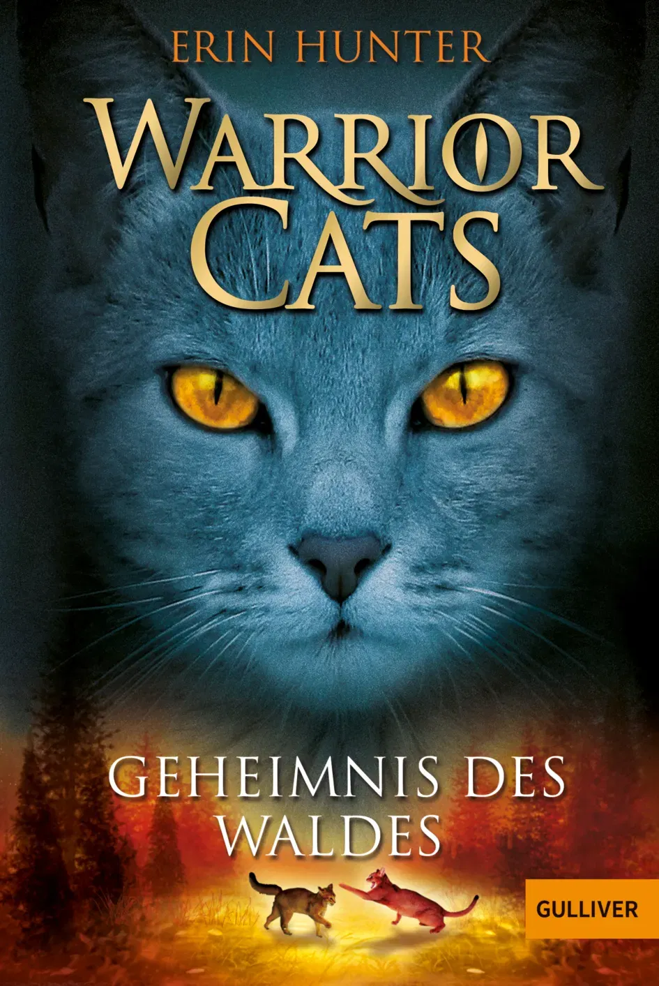 Warrior Cats. Geheimnis des Waldes - Erin Hunter - Bild 1