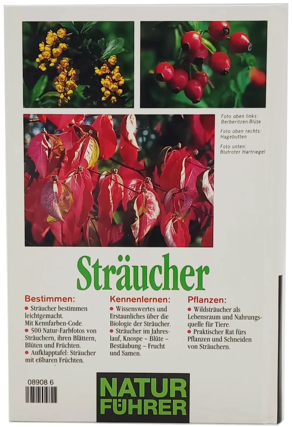 Buch "Sträucher in Natur und Garten" von Bruno P. Kremer – Bild 2