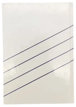 Disney's Mickys Junior-Buch: Micky und sein Rennwagen - Bild 2