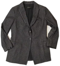 Fabiana Filippi, Blazer