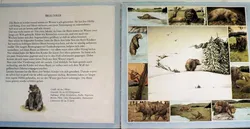 Wir schlafen, bis der Frühling kommt - Bild 2