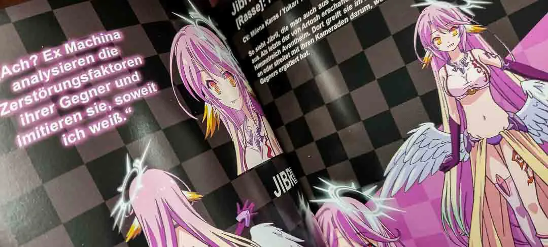 No Game No Life Zero Imanity Limited Edition Nr. 3212 komplett – Bild 2