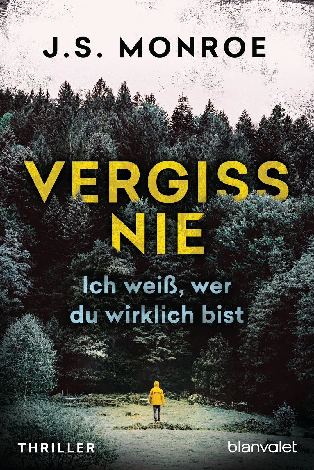 Vergiss nie - Ich weiß, wer du wirklich bist - J.S. Monroe – Bild 1