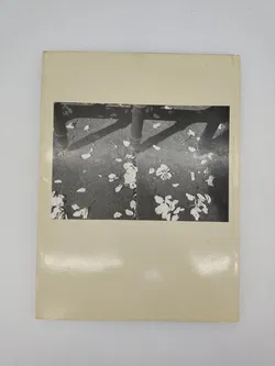 Das Jahr ohne Widerruf - Christine Grancy - Bild 2