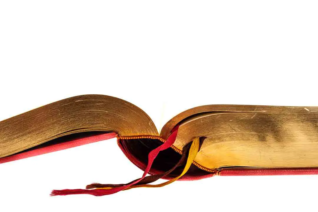 Die Heilige Schrift  – Bild 5