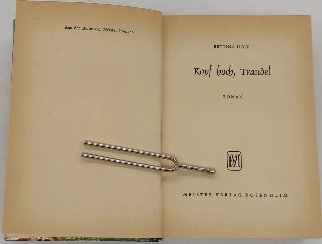 Buch "Kopf hoch Traudel" von Bettina Hoff – Bild 5