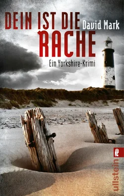 Dein ist die Rache. McAvoys zweiter Fall - David Mark