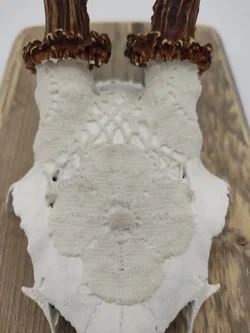 Krickerl mit Spitzen - Bild 2