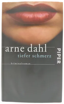 Tiefer Schmerz - Arne Dahl - Bild 1