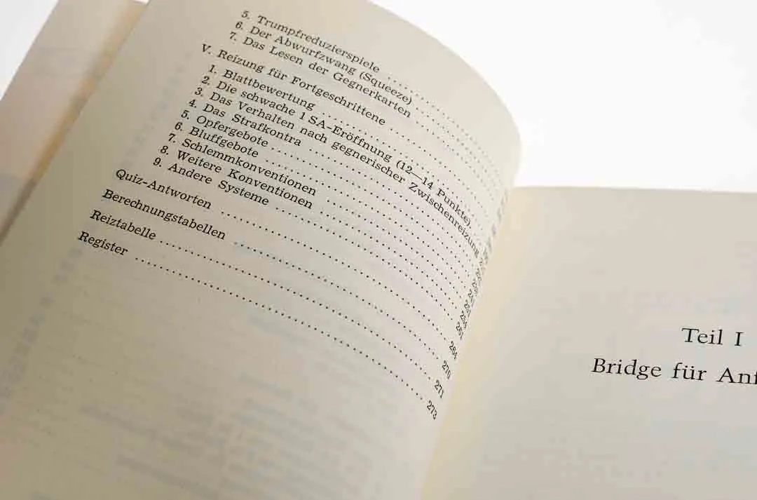 Bridge – Karl Ritz & Wolfgang Voigt – Bild 4