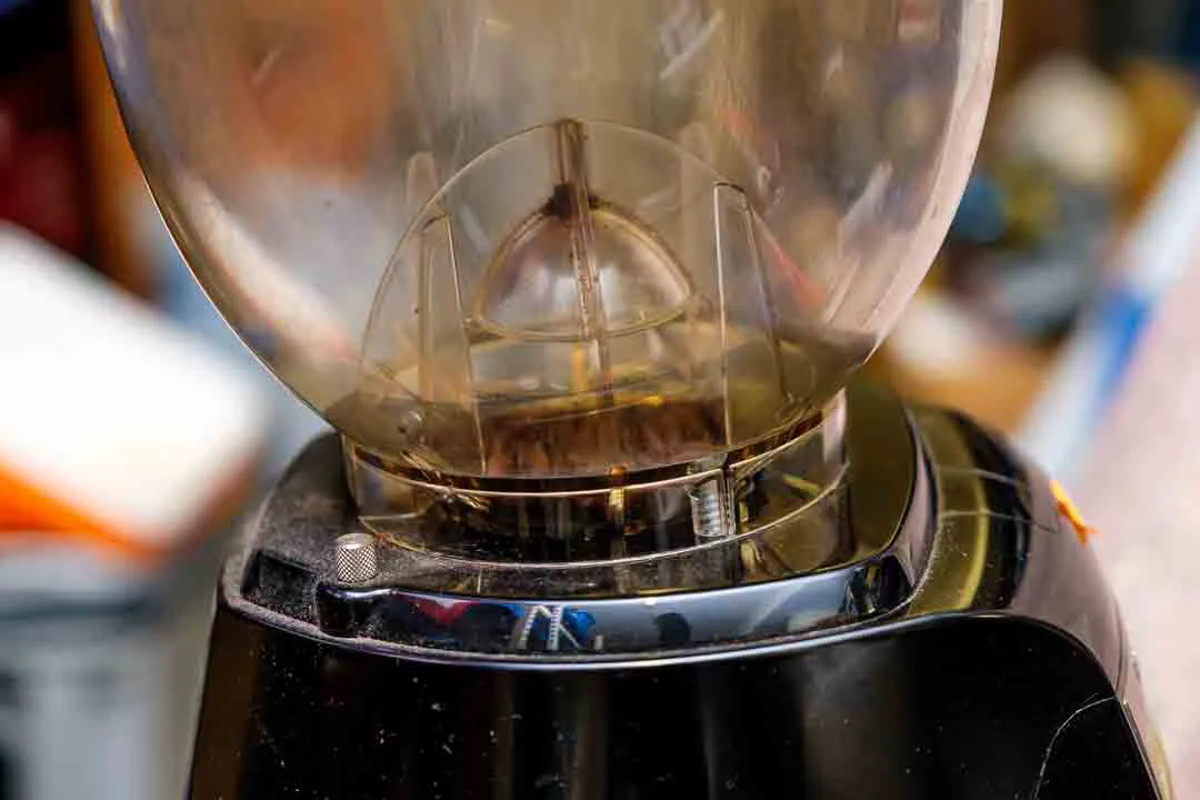 Casadio Enea OD Gastro-Kaffeemühle – On-Demand, Baujahr 2020 – Bild 3