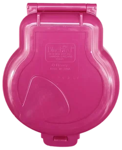 Bluebird Polly Pocket 