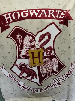 Harry Potter Wohn / Kuscheldecke mit Hogwarts-Schulwappen, Größe ca. 220x150cm – Vorschau 3