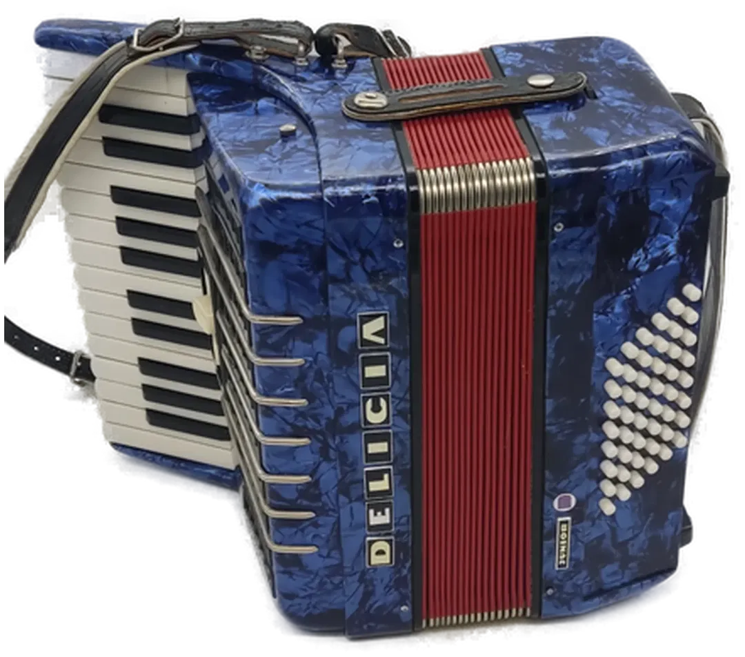 DELICIA Junior Akkordeon / Ziehharmonika in blau-rot-weiß im Koffer - Bild 4