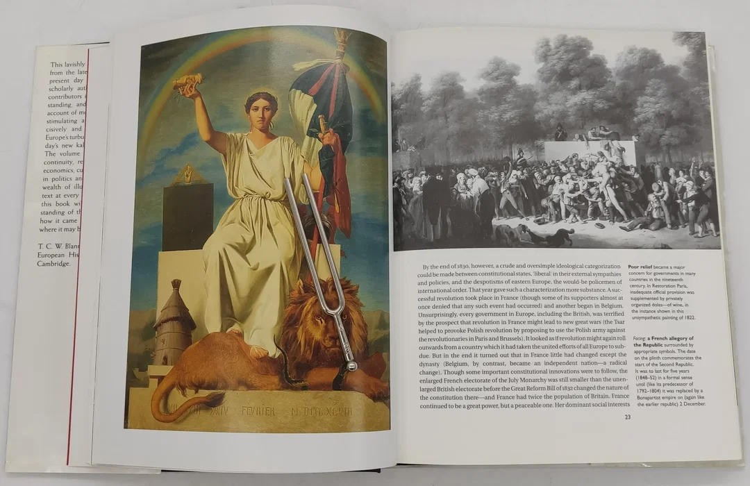 Buch The Oxford Illustrated History of "Modern Europe" Edited by T. C. W. Blanning auf Englisch – Bild 5