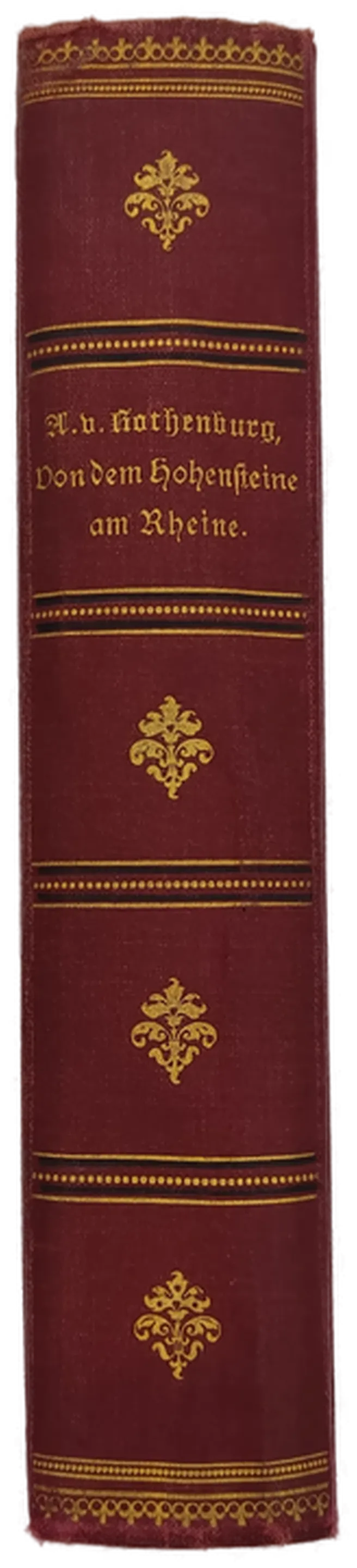 Buch "Von dem Hohensteine am Rheine" von Adelheid von Rothenburg 1892 – Bild 2