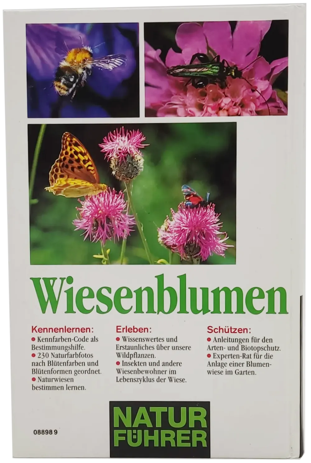 Buch "Wiesenblumen" von Bruno P. Kremer – Bild 2