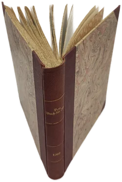 Das Buch für Alle - Illustrierte Familienzeitung 1916 | Historischer Fund – Vorschau 3