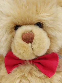 Teddybär - Tiere mit Herz - Bild 4