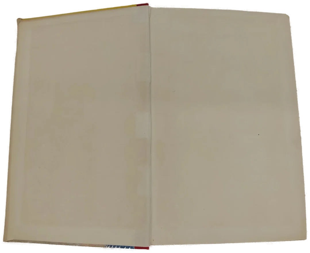 Buch "Herzog Bojo" von Kurt Pastenaci 1939 – Bild 3
