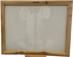 Bild Druck auf Leinwand Schweinekopf auf Körper von Markus Binz - Bild 2