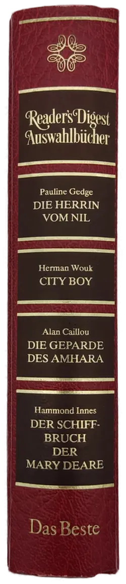 Die Herrin vom Nil / City Boy / Die Geparden des Amhara / Der Schiffbruch des Mary Deare - Bild 2