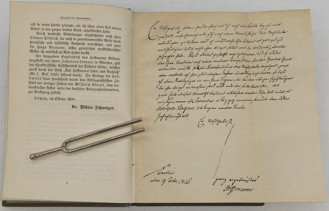 Buch E.T.A. Hoffmann -seine Werke. Meyers Klassiker Ausgaben Band 1 bis 4 von 1896 – Bild 9