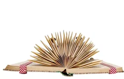 Seitengruaß, dekoratives Buchobjekt Buchkunst Faltbuch mit roten Akzenten – Vorschau 3
