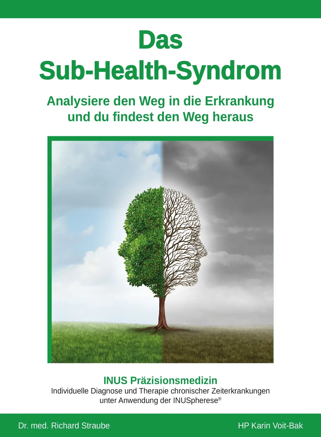 Das Sub-Health-Syndrom - Karin Voit-Bak,Richard Dr. med. Straube – Bild 1
