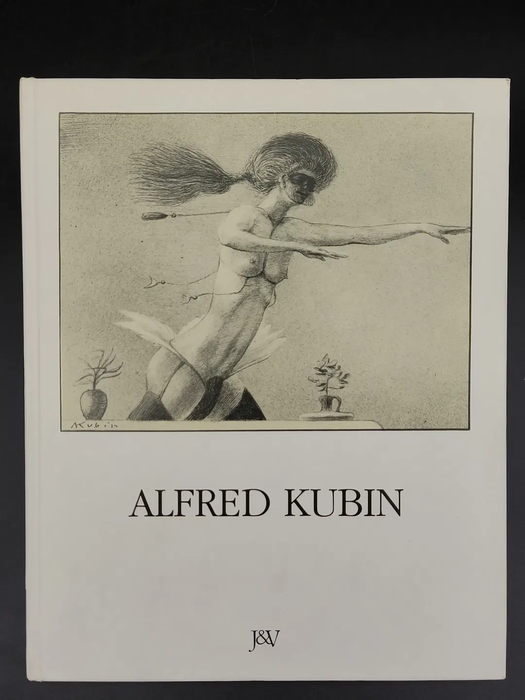 Alfred Kubin, Leben ein Abgrund - Alfred Kubin,Klaus Albrecht Schröder - Bild 1