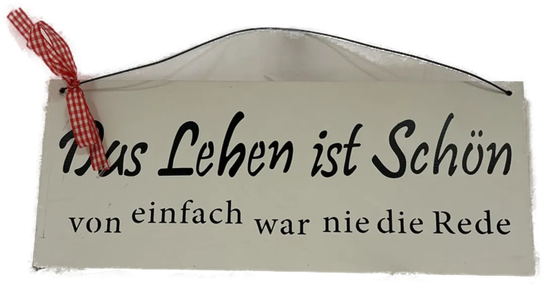 Schild Das Leben ist schön ... - Bild 1