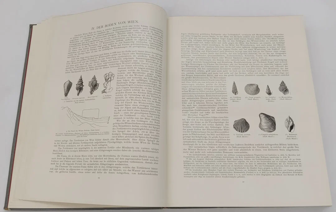 Buch Wien im Zeitalter Kaiser Franz Josephs I. Schilderungen von Reinhard E.Petermann 1908 – Bild 6
