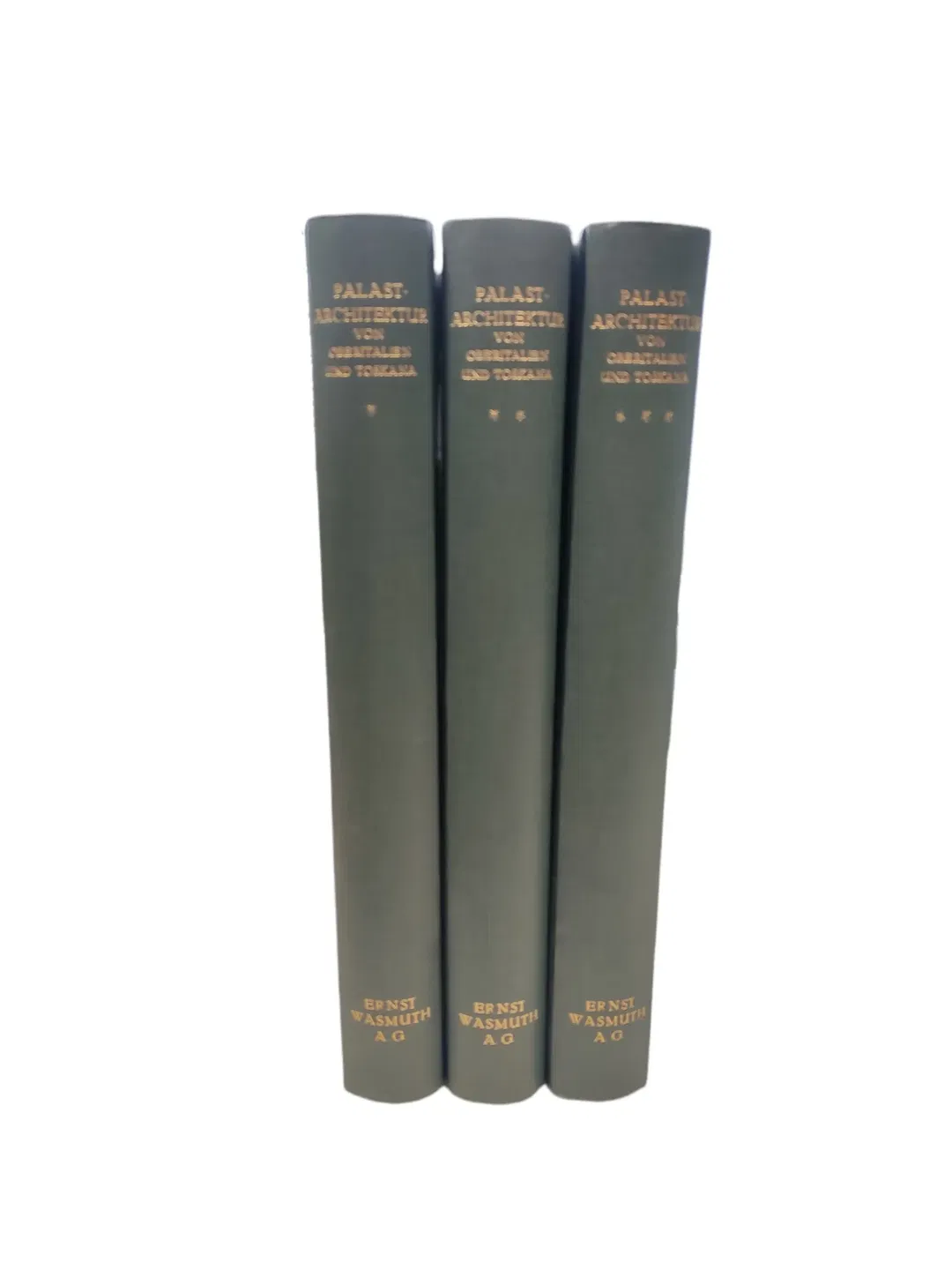 Buch Albert Haupt 